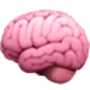BehaviorFacts logo
